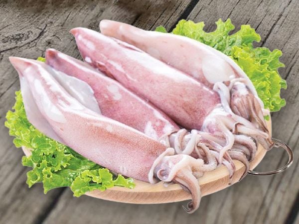 Mực ống/ bạch tuộc