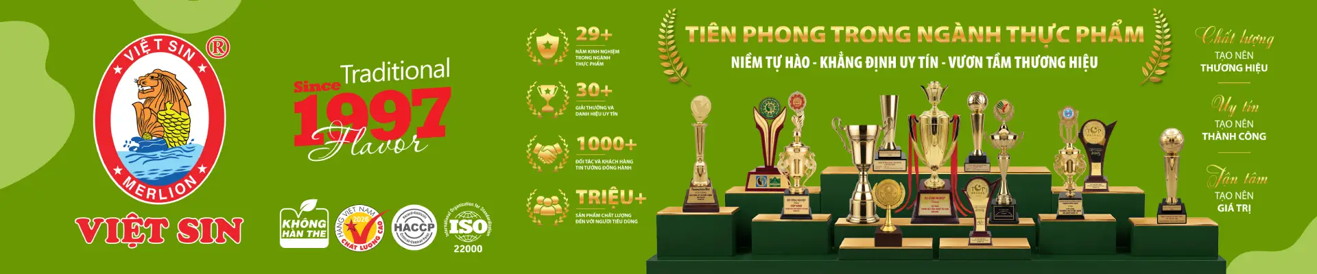 GIỚI THIỆU VỀ VIỆT SIN